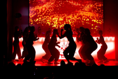 Galaabend organisiert durch MKC Karneval Marksuhl / Marksuhler Karneval Club e.V.