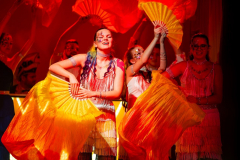 Galaabend organisiert durch MKC Karneval Marksuhl / Marksuhler Karneval Club e.V.